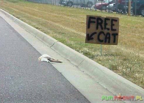 freecat.jpg