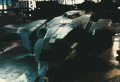 Pelican_ani.gif