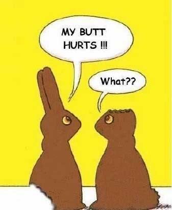 funny bunny. happy easter funny bunny.
