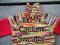 YYMN Caelum Sweater