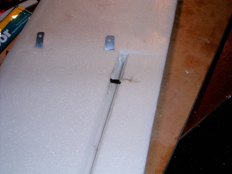 Auster071105004.jpg