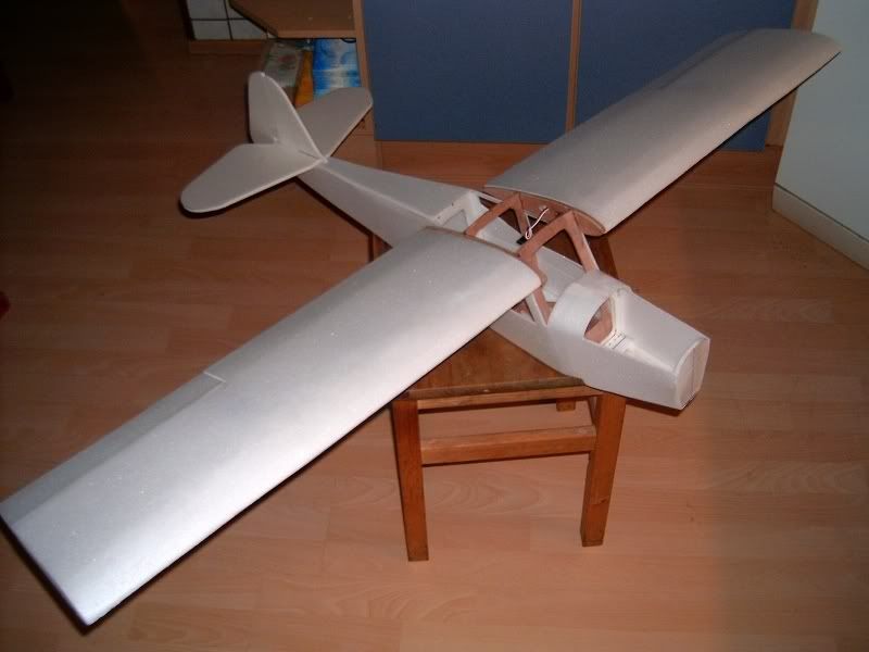 Auster071105005.jpg