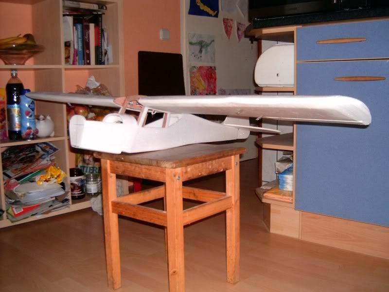 Auster071106002.jpg