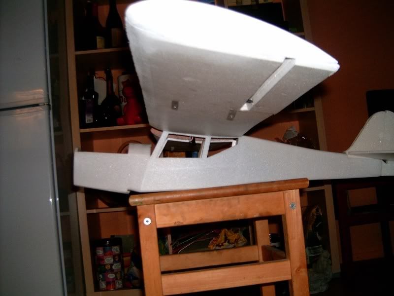 Auster071106003.jpg