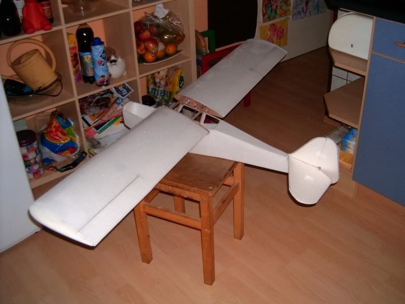 Auster071106004.jpg