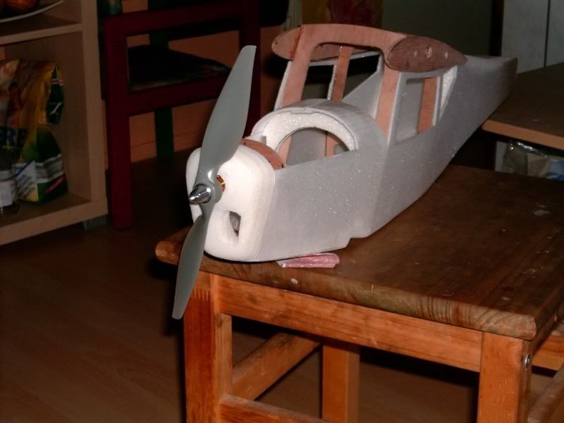 Auster071108005.jpg