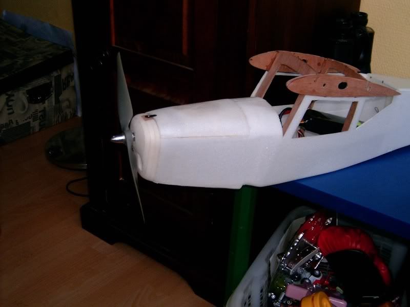 Auster071110003.jpg