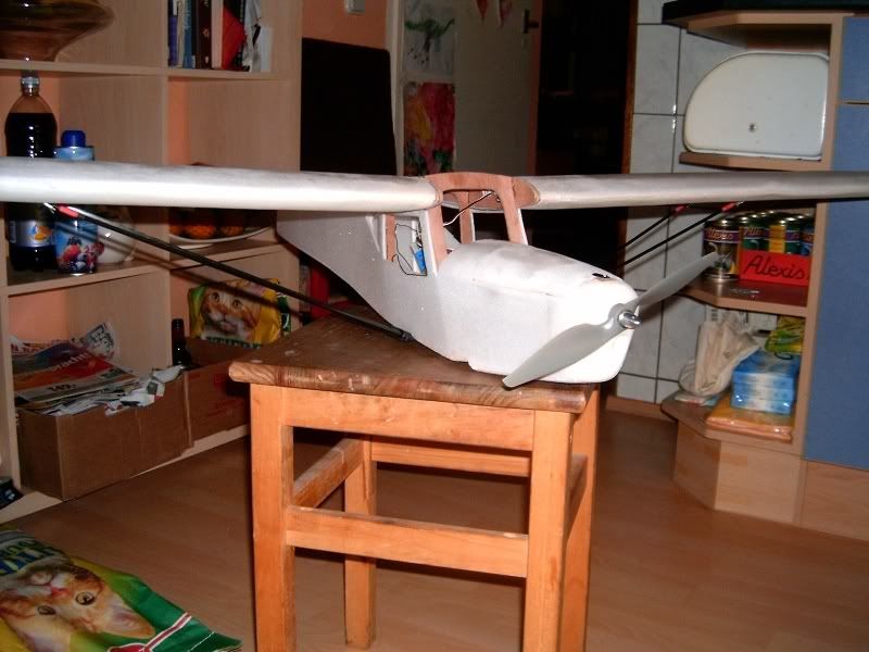 Auster071113.jpg