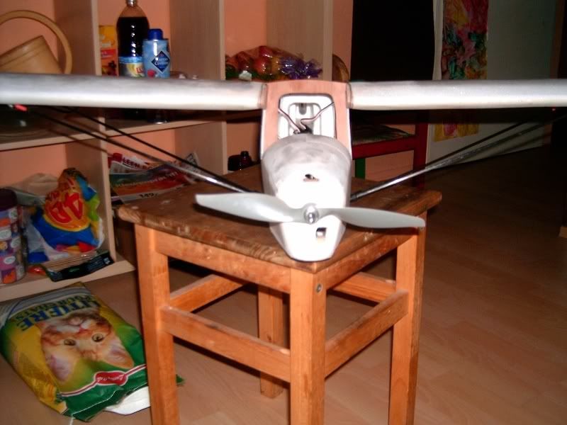 Auster071113001.jpg