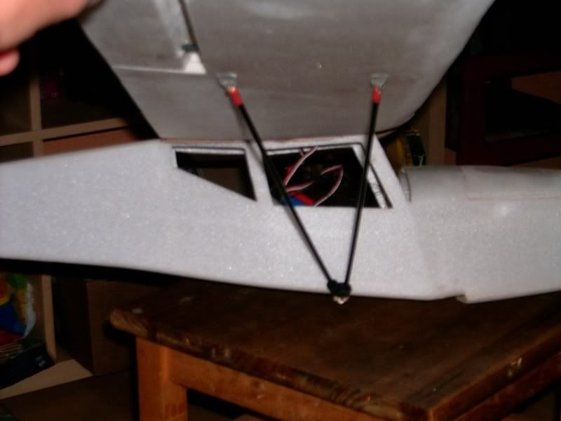 Auster071113002.jpg