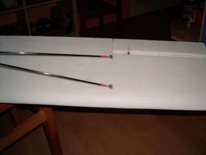Auster071113003.jpg