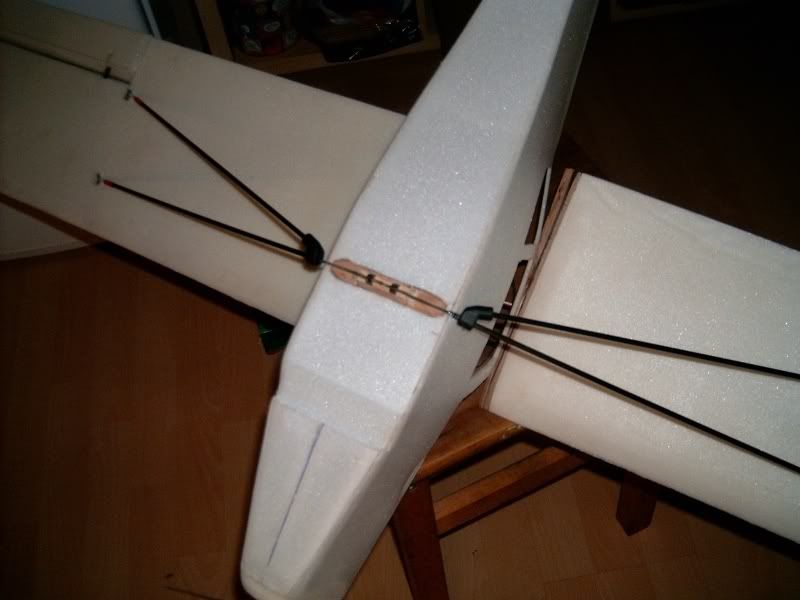 Auster071113004.jpg