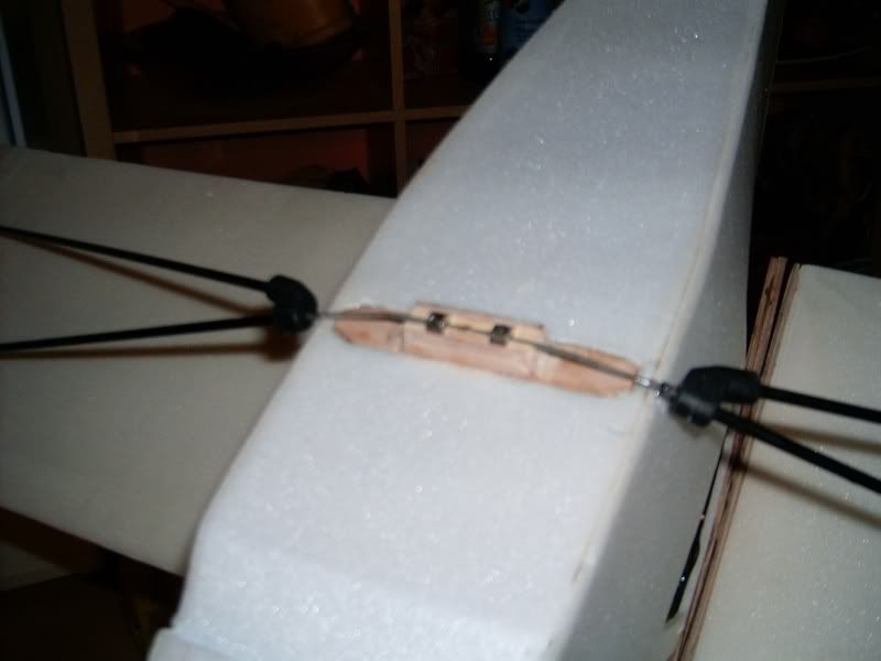 Auster071113005.jpg