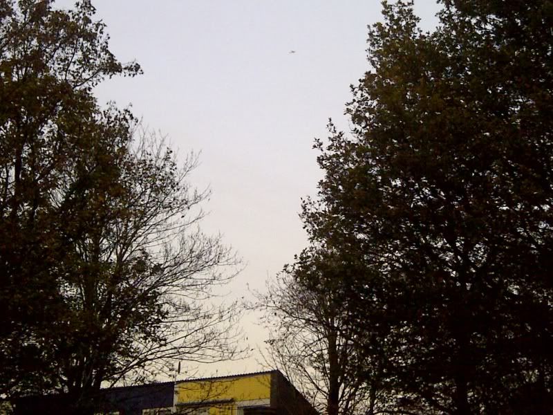 IMG-20111112-00334.jpg