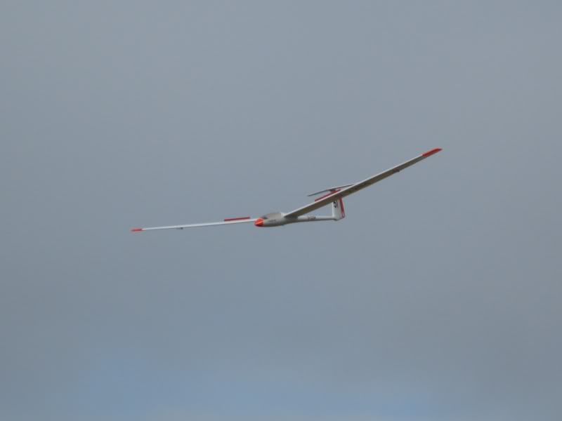 100313_LVS013.jpg