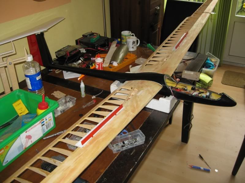 100228_75001.jpg