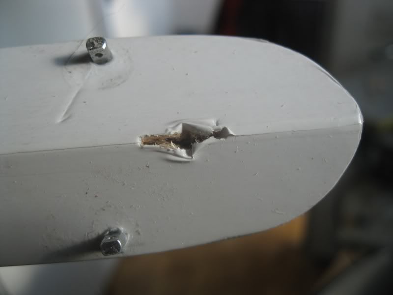 110630_Minimoa002.jpg