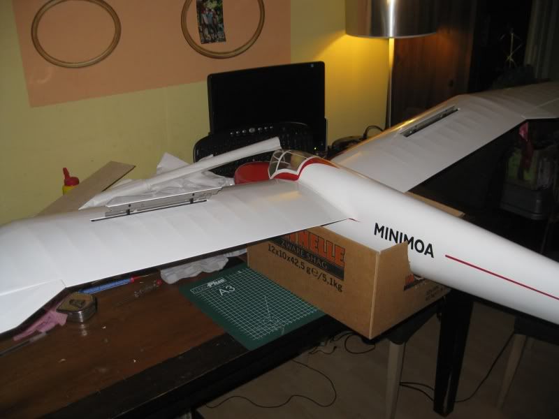 111223_Minimoa003.jpg