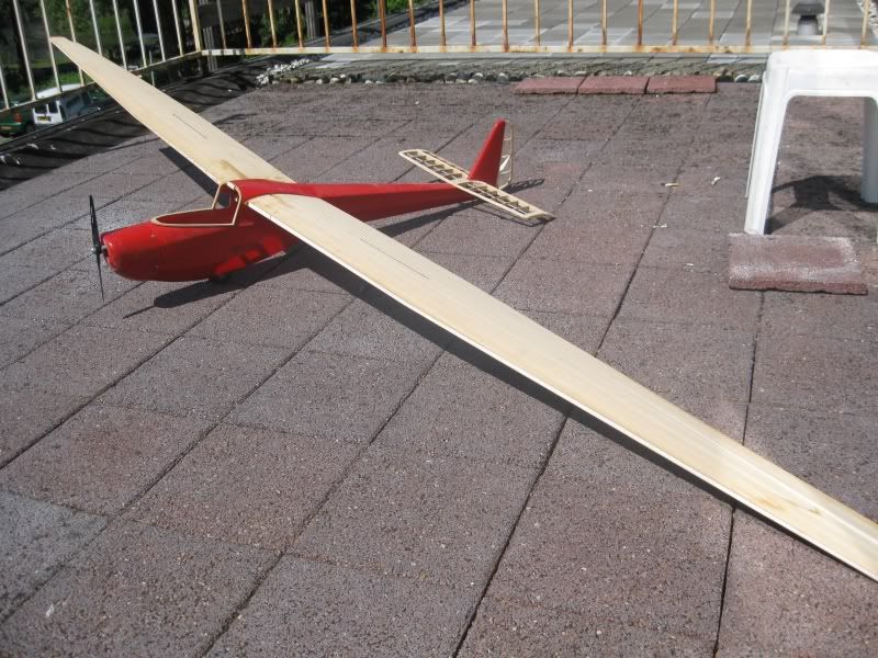 110603_Spatz001.jpg