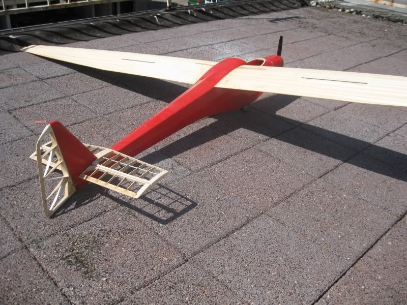 110603_Spatz003.jpg