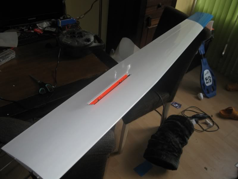 110611_Spatz.jpg