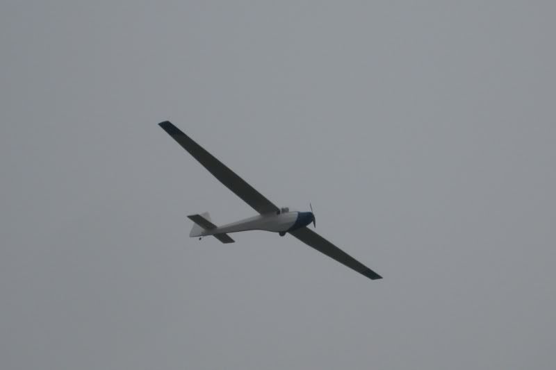 110612_Spatz_maiden011.jpg