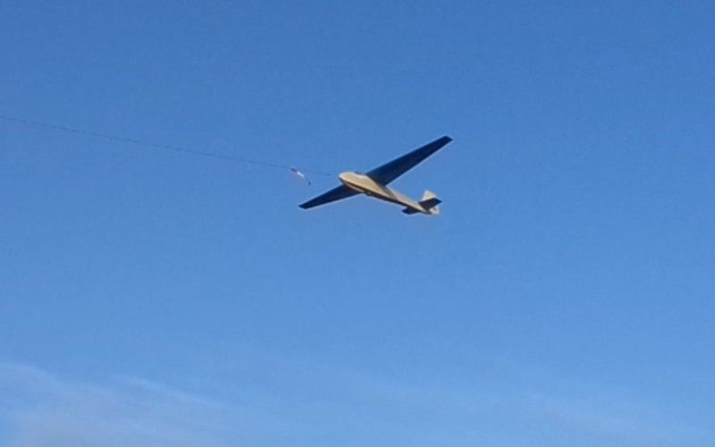 Swallow2_zps1ce58568.jpg