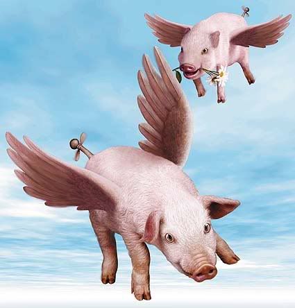 [Image: pigs_flying.jpg]