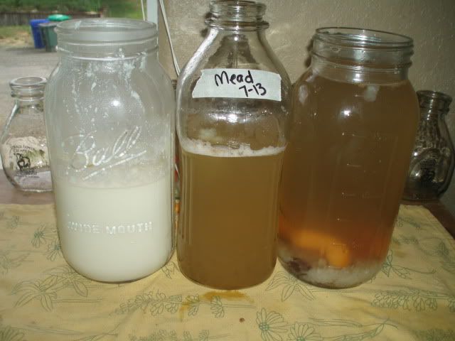fermented brews