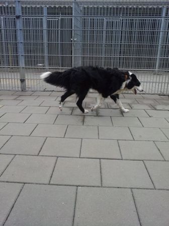 20120616_105258.jpg
