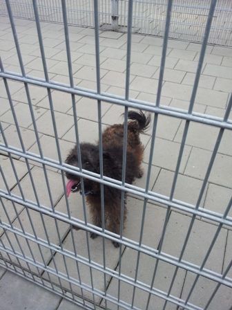20120616_105529.jpg