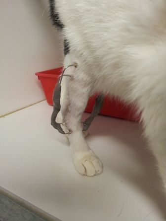 20120630_103428.jpg