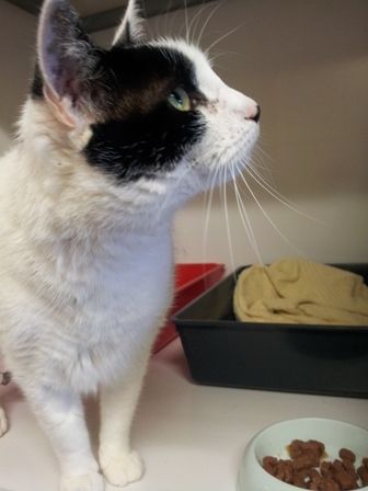 20120630_103537.jpg