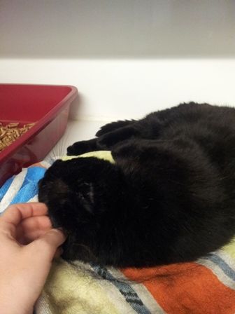 20120630_110748.jpg