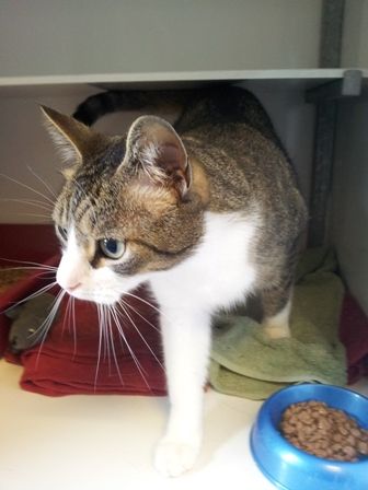 20120630_112257.jpg
