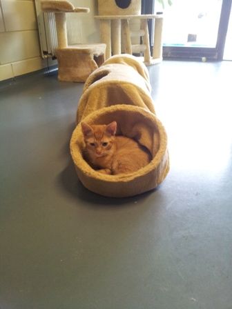 20120908_091902.jpg