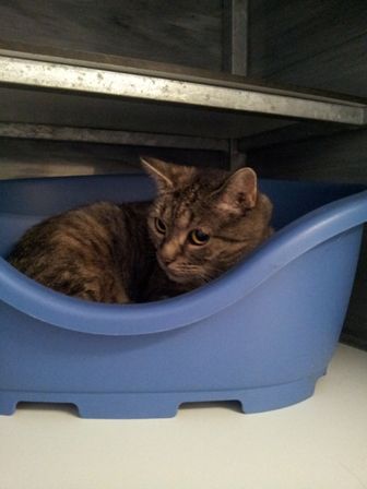 20120908_093755.jpg
