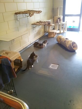 20120908_094507.jpg