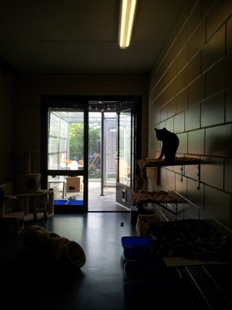20120908_094516.jpg
