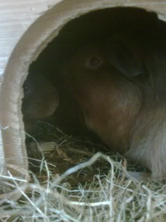 IMG00114-20120107-1101.jpg