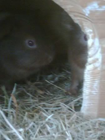 IMG00119-20120107-1135.jpg