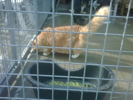 IMG00216-20120317-1026.jpg