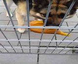 th_20120505_112258.jpg