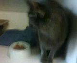 th_VID00003-20120317-0926.jpg