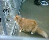 th_VID00004-20120317-1026.jpg