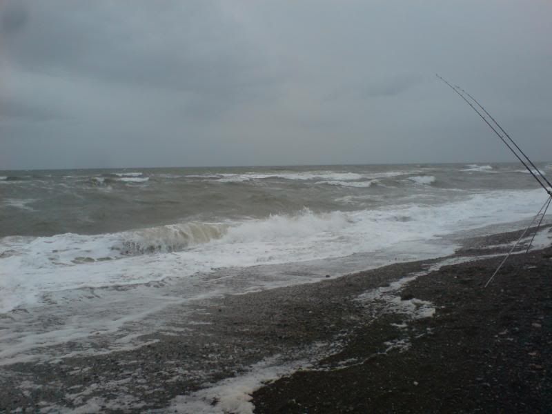 The perfect coddy sea - almost chocolate coloured after a storm