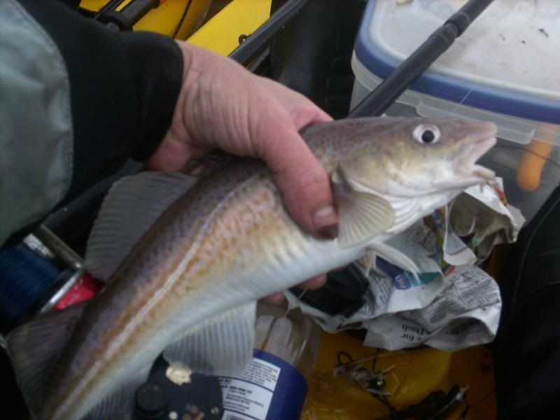 Cod fishing at blackpool