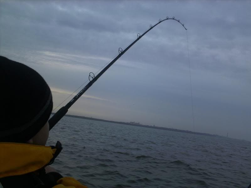 Cleveleys Cod fishing