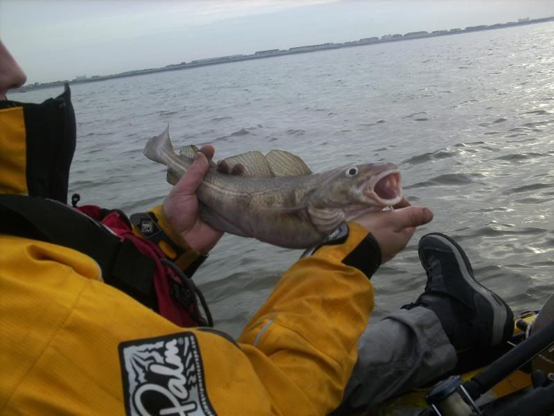 Sea fishing in winter