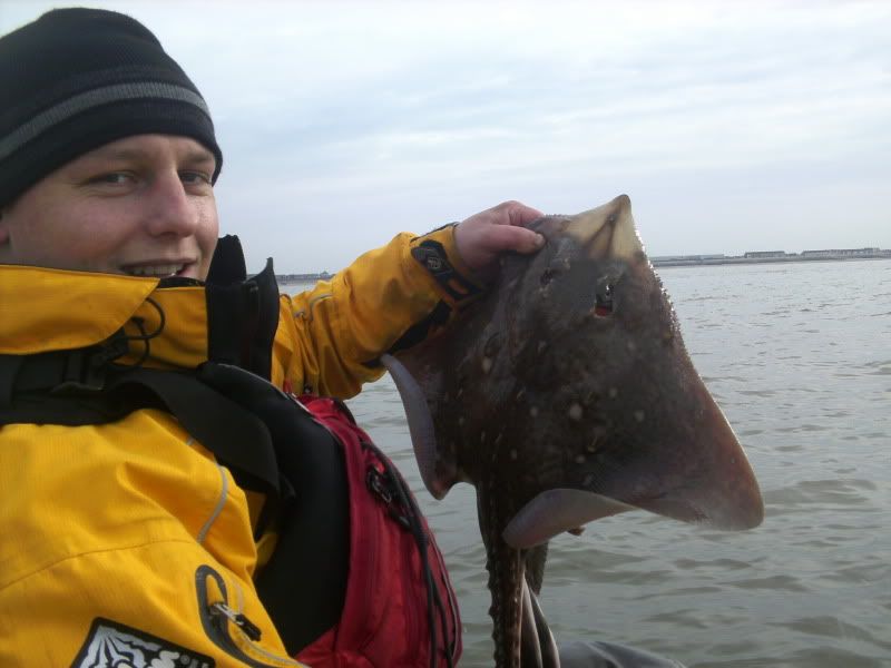 Thornback rays off Blackpool